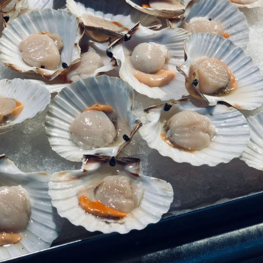 Sea Scallops U-10, Large 5 lbs