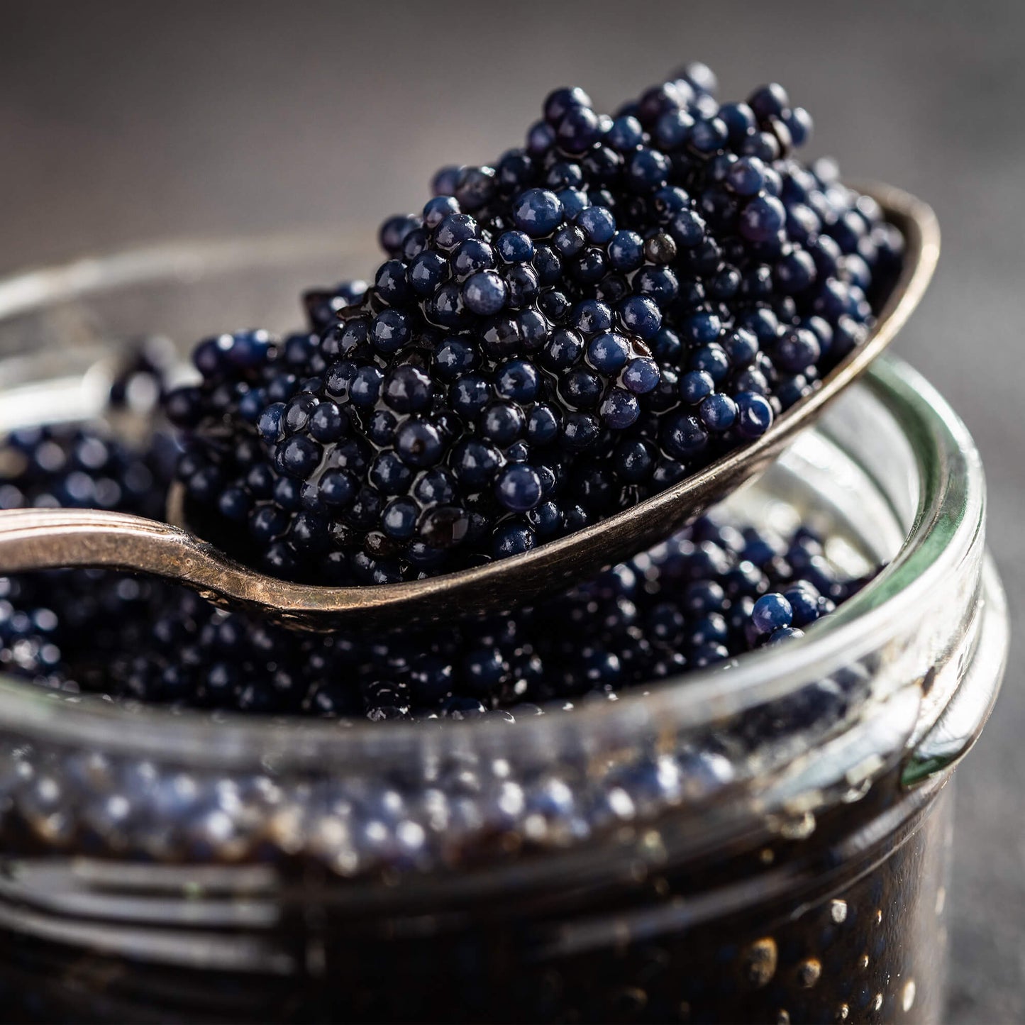 Russian Osetra Sturgeon Black Caviar - Premium Wild Sturgeon Roe